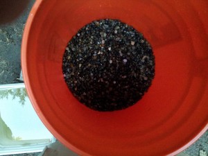 This shows the pea gravel covering the drain pipes. Water is added and then sand is added to the water until the sand depth reaches 3.5 inches from the top of the bucket. Be sure to keep the water level above the sand at all times and be sure to cap the output pipe while adding sand. The output pipe assembly should be completed before adding the gravel and sand.