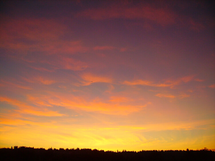 sunset with airplane