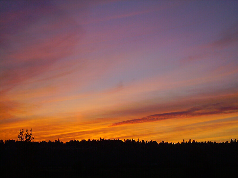 all orange sunset