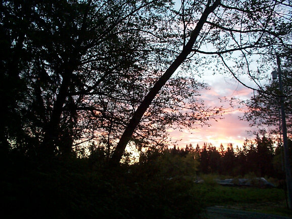 bright_sunrise