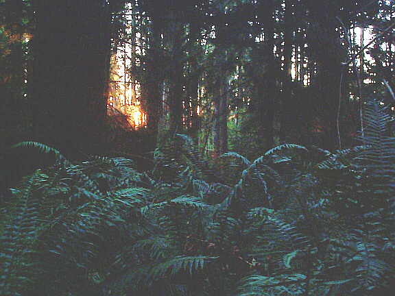 ghost_house_small