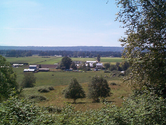 hill_view