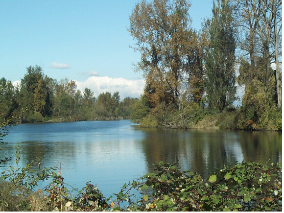snohomish_river