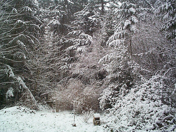 snow_house