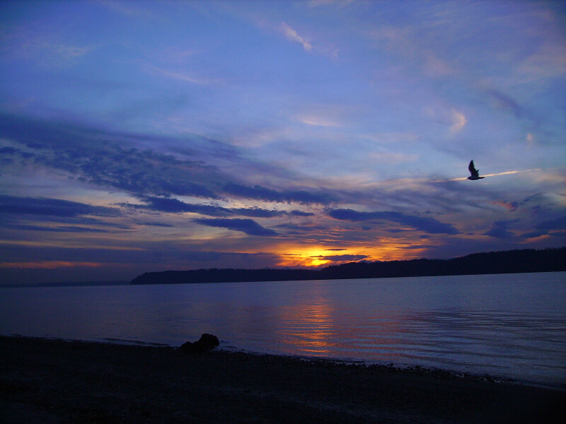 sunset on the bay