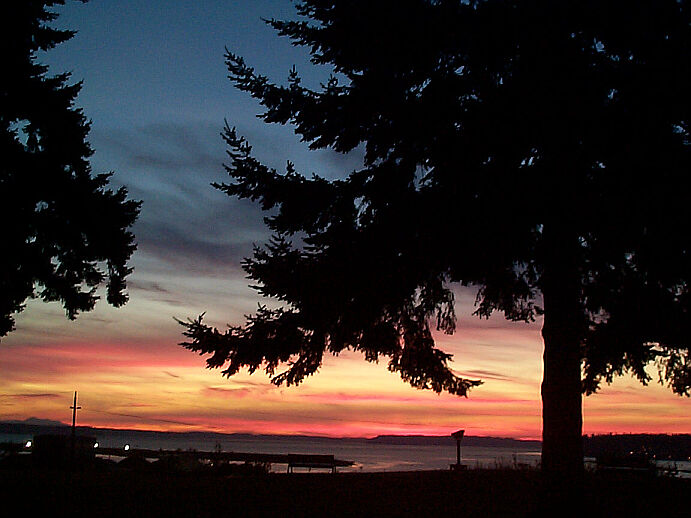 forest_sunset
