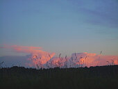 thunderheads